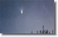 comethalebopp0003 * Comet Hale-Bopp * Comet Hale-Bopp * 1770 x 1120 * (506KB)