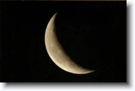 lunar14 * Moon Occulting Aldebaran * Moon Occulting Aldebaran * 595 x 389 * (16KB)