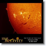 SolarActivity_POD_20160208 * 768 x 768 * (78KB)