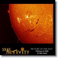 21_SolarActivity_POD_20160208 * 768 x 768 * (78KB)