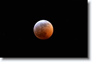 DSC_0699 *  
Object Eclipsing Moon (14.5 days at 100%) 
Telescope Takahashi FSQ-106 EDX III f/5 Astrograph 
Date 2019 January 20 
Camera Nikon D5200 DSLR 
Time 23:43 
Exposure 6 sec at ISO 100 
Notes Super Blood Wolf Moon Total Eclipse. 
 * 4496 x 3000 * (680KB)