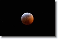 DSC_0700 *  
Object Eclipsing Moon (14.5 days at 100%) 
Telescope Takahashi FSQ-106 EDX III f/5 Astrograph 
Date 2019 January 20 
Camera Nikon D5200 DSLR 
Time 23:43 
Exposure 4 sec at ISO 100 
Notes Super Blood Wolf Moon Total Eclipse. 
 * 4496 x 3000 * (663KB)