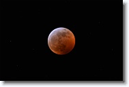 DSC_0704 *  
Object Eclipsing Moon (14.5 days at 100%) 
Telescope Takahashi FSQ-106 EDX III f/5 Astrograph 
Date 2019 January 21 
Camera Nikon D5200 DSLR 
Time 00:04 
Exposure 8 sec at ISO 100 
Notes Super Blood Wolf Moon Total Eclipse. 
 * 4496 x 3000 * (675KB)