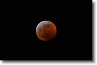 DSC_0705 *  
Object Eclipsing Moon (14.5 days at 100%) 
Telescope Takahashi FSQ-106 EDX III f/5 Astrograph 
Date 2019 January 21 
Camera Nikon D5200 DSLR 
Time 00:04 
Exposure 5 sec at ISO 100 
Notes Super Blood Wolf Moon Total Eclipse. 
 * 4496 x 3000 * (655KB)