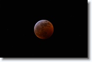 DSC_0706 *  
Object Eclipsing Moon (14.5 days at 100%) 
Telescope Takahashi FSQ-106 EDX III f/5 Astrograph 
Date 2019 January 21 
Camera Nikon D5200 DSLR 
Time 00:05 
Exposure 3 sec at ISO 100 
Notes Super Blood Wolf Moon Total Eclipse. 
 * 4496 x 3000 * (615KB)