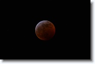 DSC_0707 *  
Object Eclipsing Moon (14.5 days at 100%) 
Telescope Takahashi FSQ-106 EDX III f/5 Astrograph 
Date 2019 January 21 
Camera Nikon D5200 DSLR 
Time 00:05 
Exposure 2 sec at ISO 100 
Notes Super Blood Wolf Moon Total Eclipse. 
 * 4496 x 3000 * (584KB)