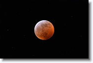 DSC_0709 *  
Object Eclipsing Moon (14.5 days at 100%) 
Telescope Takahashi FSQ-106 EDX III f/5 Astrograph 
Date 2019 January 21 
Camera Nikon D5200 DSLR 
Time 00:05 
Exposure 13 sec at ISO 100 
Notes Super Blood Wolf Moon Total Eclipse. 
 * 4496 x 3000 * (734KB)