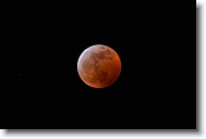 DSC_0710 *  
Object Eclipsing Moon (14.5 days at 100%) 
Telescope Takahashi FSQ-106 EDX III f/5 Astrograph 
Date 2019 January 21 
Camera Nikon D5200 DSLR 
Time 00:10 
Exposure 8 sec at ISO 100 
Notes Super Blood Wolf Moon Total Eclipse. 
 * 4496 x 3000 * (691KB)