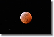 DSC_0711 *  
Object Eclipsing Moon (14.5 days at 100%) 
Telescope Takahashi FSQ-106 EDX III f/5 Astrograph 
Date 2019 January 21 
Camera Nikon D5200 DSLR 
Time 00:10 
Exposure 15 sec at ISO 100 
Notes Super Blood Wolf Moon Total Eclipse. 
 * 4496 x 3000 * (820KB)