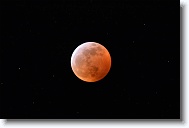 DSC_0712 *  
Object Eclipsing Moon (14.5 days at 100%) 
Telescope Takahashi FSQ-106 EDX III f/5 Astrograph 
Date 2019 January 21 
Camera Nikon D5200 DSLR 
Time 00:11 
Exposure 20 sec at ISO 100 
Notes Super Blood Wolf Moon Total Eclipse. 
 * 4496 x 3000 * (1.54MB)