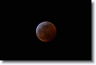 DSC_0713 *  
Object Eclipsing Moon (14.5 days at 100%) 
Telescope Takahashi FSQ-106 EDX III f/5 Astrograph 
Date 2019 January 21 
Camera Nikon D5200 DSLR 
Time 00:12 
Exposure 3 sec at ISO 100 
Notes Super Blood Wolf Moon Total Eclipse. 
 * 4496 x 3000 * (604KB)