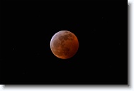 DSC_0719 *  
Object Eclipsing Moon (14.5 days at 100%) 
Telescope Takahashi FSQ-106 EDX III f/5 Astrograph 
Date 2019 January 21 
Camera Nikon D5200 DSLR 
Time 00:12 
Exposure 5 sec at ISO 100 
Notes Super Blood Wolf Moon Total Eclipse. 
 * 4496 x 3000 * (656KB)