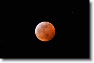 DSC_0722 *  
Object Eclipsing Moon (14.5 days at 100%) 
Telescope Takahashi FSQ-106 EDX III f/5 Astrograph 
Date 2019 January 21 
Camera Nikon D5200 DSLR 
Time 00:14 
Exposure 15 sec at ISO 100 
Notes Super Blood Wolf Moon Total Eclipse. 
 * 4496 x 3000 * (722KB)