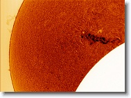 Sun_20170821_151254_IC * 1273 x 945 * (1.69MB)