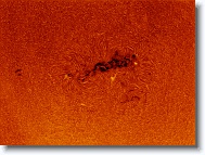 Sun_20170821_153703_IC * 1264 x 946 * (1.68MB)
