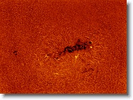 Sun_20170821_154220_IC * 1270 x 945 * (1.87MB)