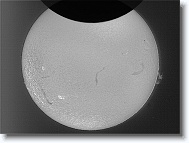 s2026-08-12_13-49-18_l_u * 4445 x 3333 * (6.69MB)