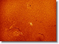 Sun_20160509_094924_C * 1265 x 948 * (1.15MB)