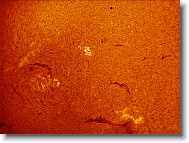 Sun_20160509_103436_C * 1266 x 947 * (1.25MB)