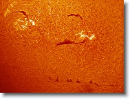 Sun_20160509_122300_C * 1266 x 947 * (1.36MB)