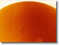 Sun_20160509_092550_IC * 1267 x 951 * (966KB)