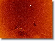 Sun_20160509_092940_IC * 1263 x 945 * (1.13MB)