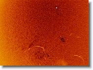 Sun_20160509_093311_IC * 1263 x 943 * (1.11MB)