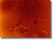 Sun_20160509_093506_IC * 1262 x 942 * (1.37MB)