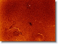 Sun_20160509_094924_IC * 1265 x 948 * (1.3MB)