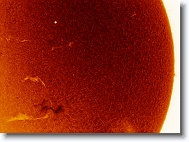 Sun_20160509_114406_IC * 1270 x 945 * (1.07MB)