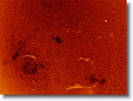Sun_20160509_115457_IC * 1265 x 947 * (1.11MB)