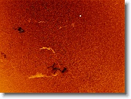 Sun_20160509_122420_IC * 1266 x 944 * (1.46MB)